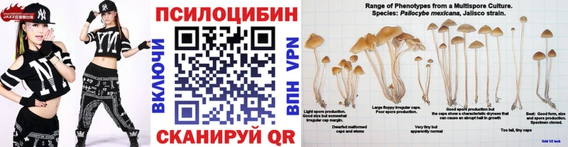 Галлюциногенные грибы GOLDEN TEACHER  Судогда 